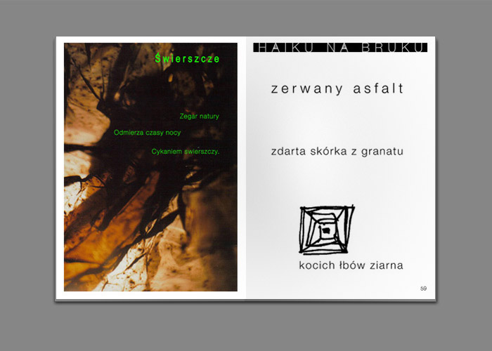 24 / 43 - tomik poezji Katarzyny Boruń-Jagodzińskiej KRÓCEJ