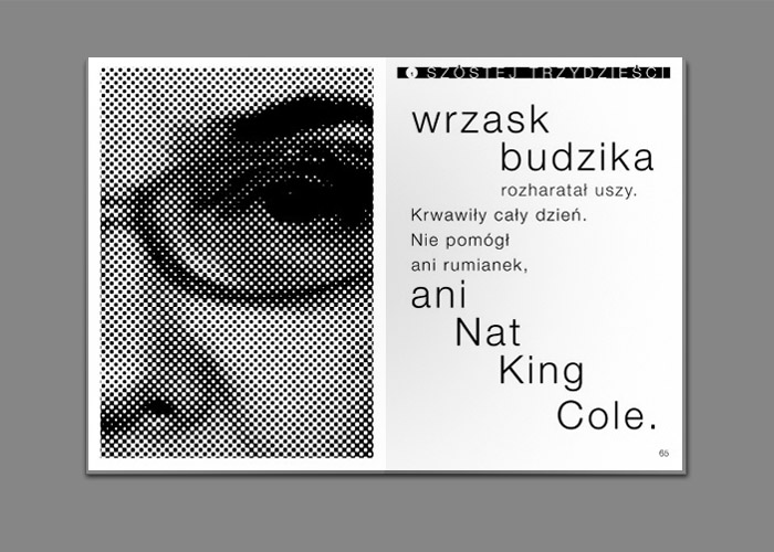 25 / 43 - tomik poezji Katarzyny Boruń-Jagodzińskiej KRÓCEJ