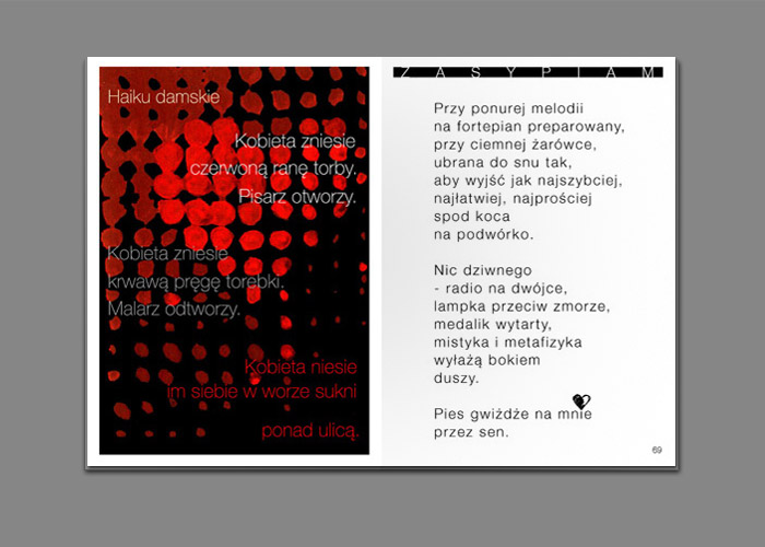 27 / 43 - tomik poezji Katarzyny Boruń-Jagodzińskiej KRÓCEJ