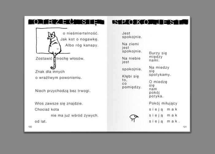 33 / 43 - tomik poezji Katarzyny Boruń-Jagodzińskiej KRÓCEJ