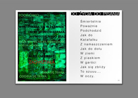 tomik poezji Katarzyny Boruń-Jagodzińskiej KRÓCEJ